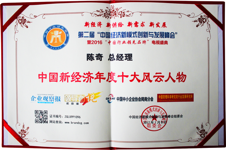 易視界總經理陳奇先生榮獲中國新經濟年度十大風云人物